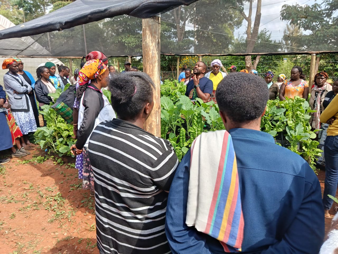 Miti Alliance Learning Centre