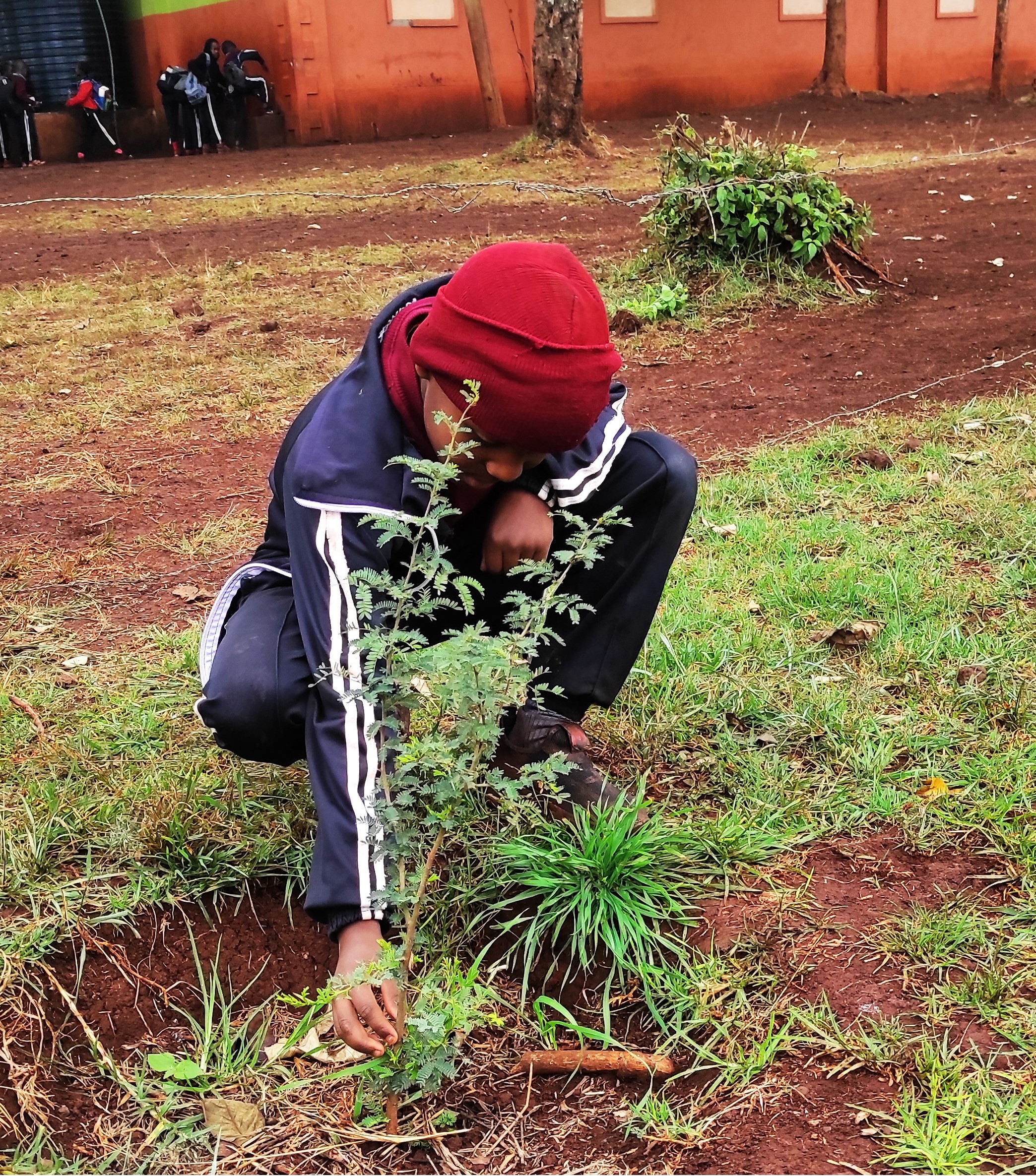 Miti Alliance Global