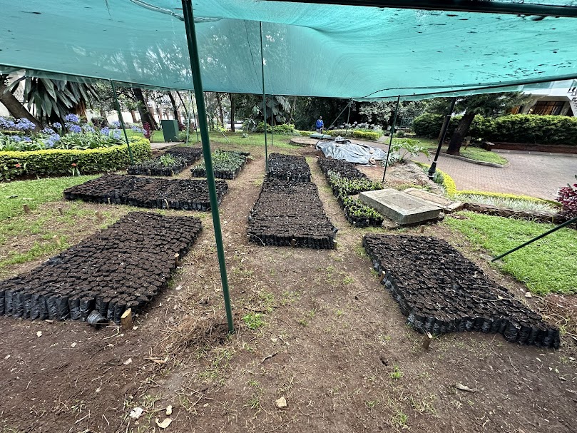 Miti Alliance Global Tree Nursery
