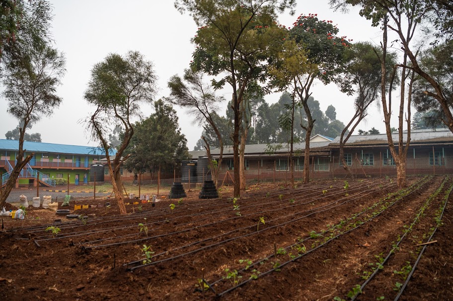 mazingira-club_Miti Alliance