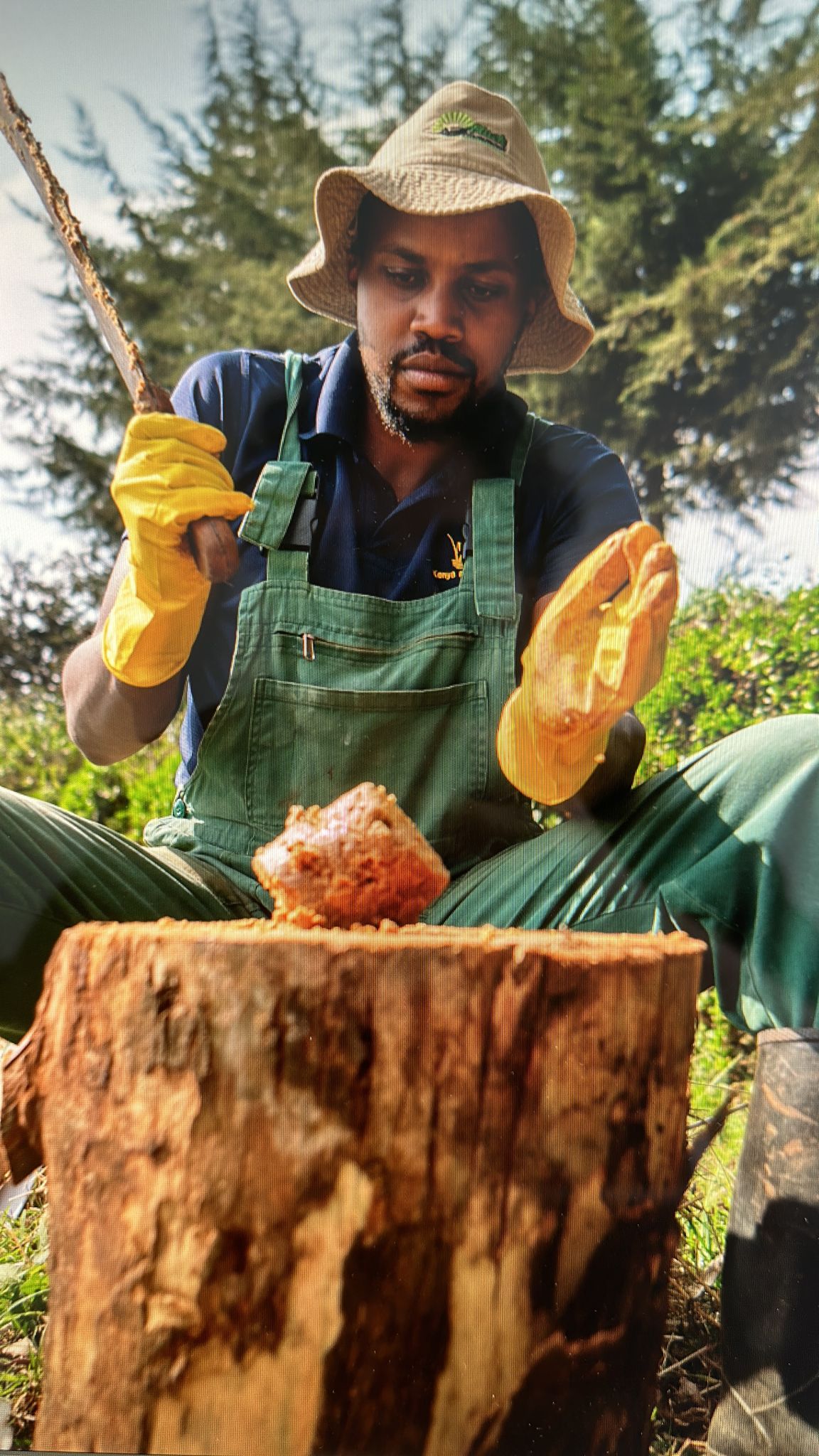 Michael Waiyaki - Founder and CEO of Miti Alliance