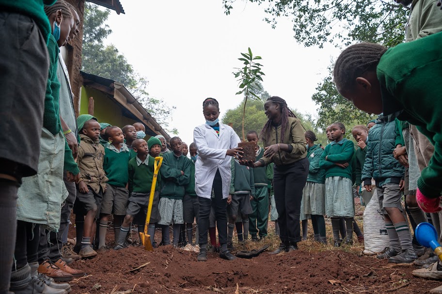 Miti Alliance School Program