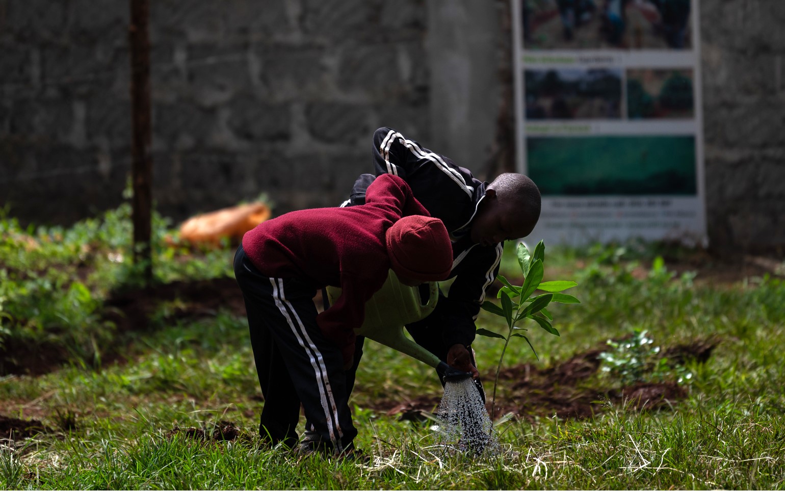 Miti Alliance School Programme