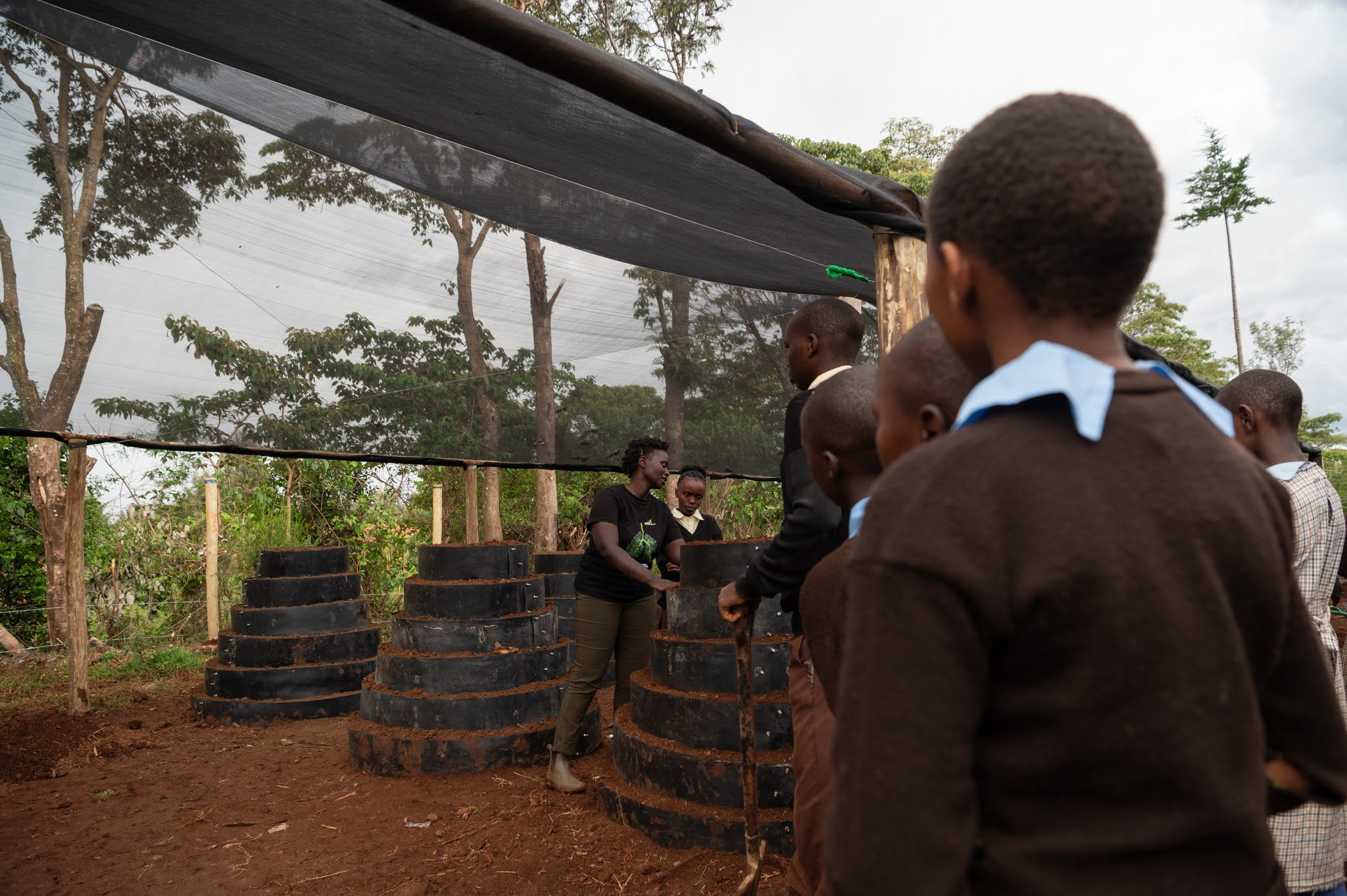 Miti Alliance Kitchen garden