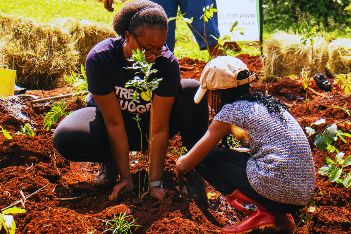 Miti Alliance - Miyawaki Forest