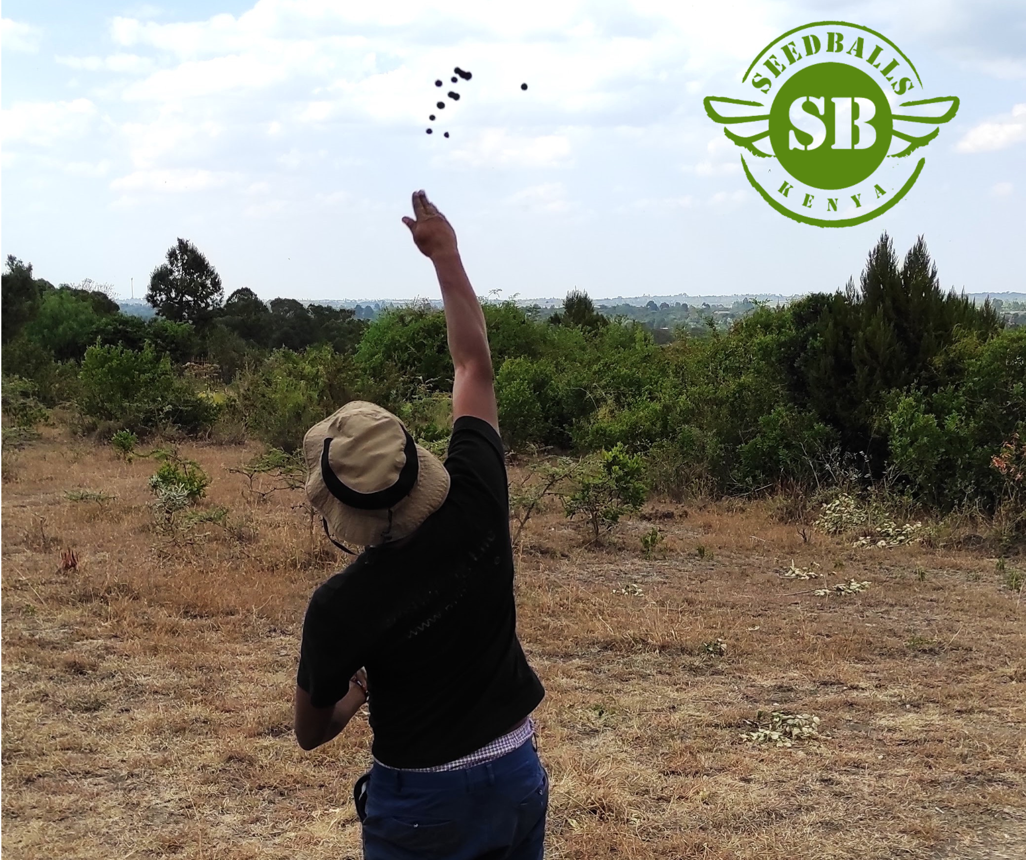 Miti Alliance - Seed Balls