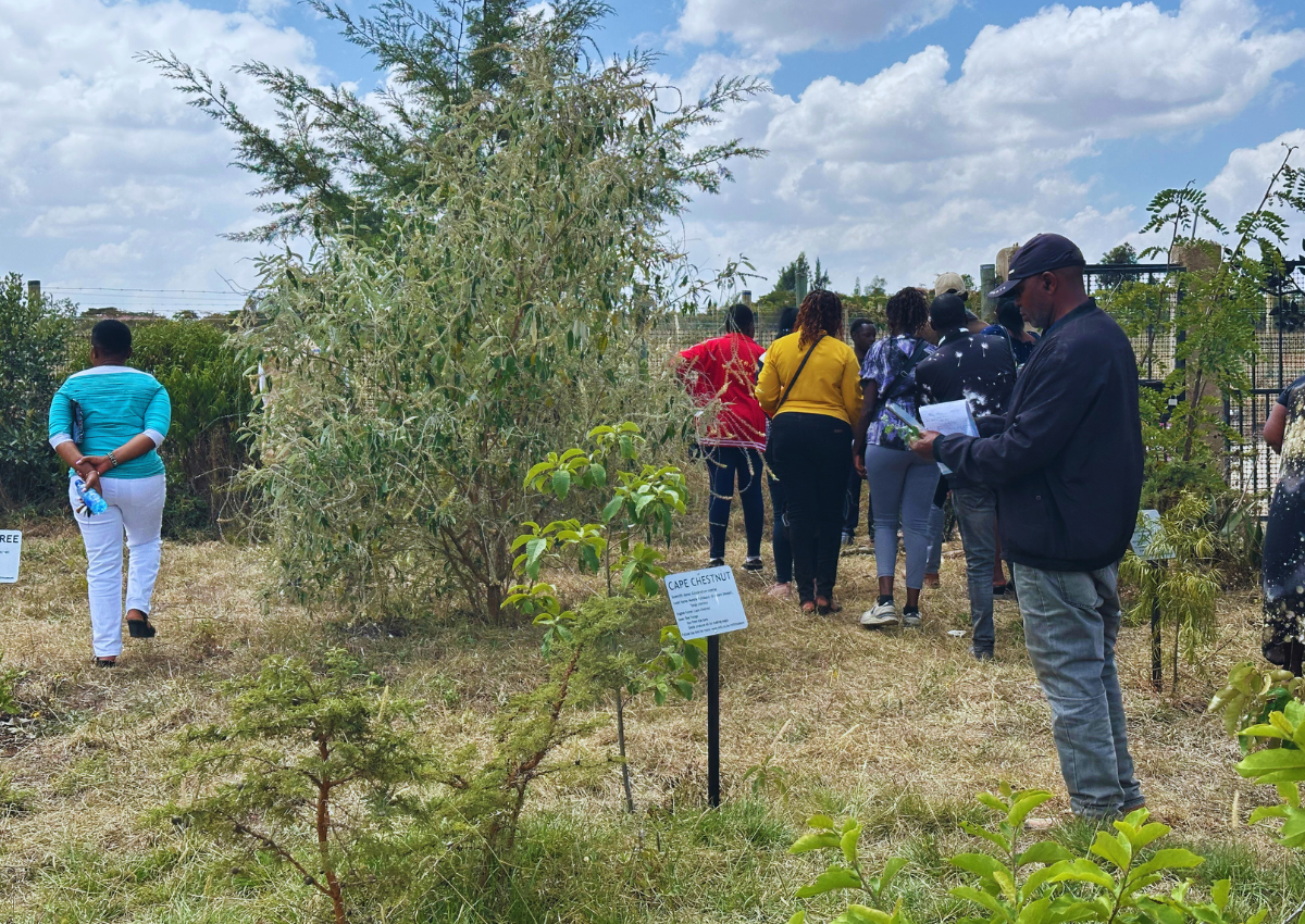 Miti Alliance Global Tree Nursery