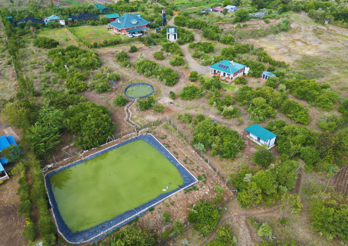 Miti Alliance Global Tree Nursery