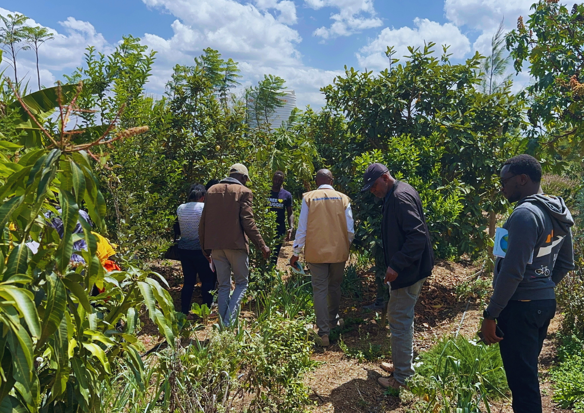 Miti Alliance Global Tree Nursery