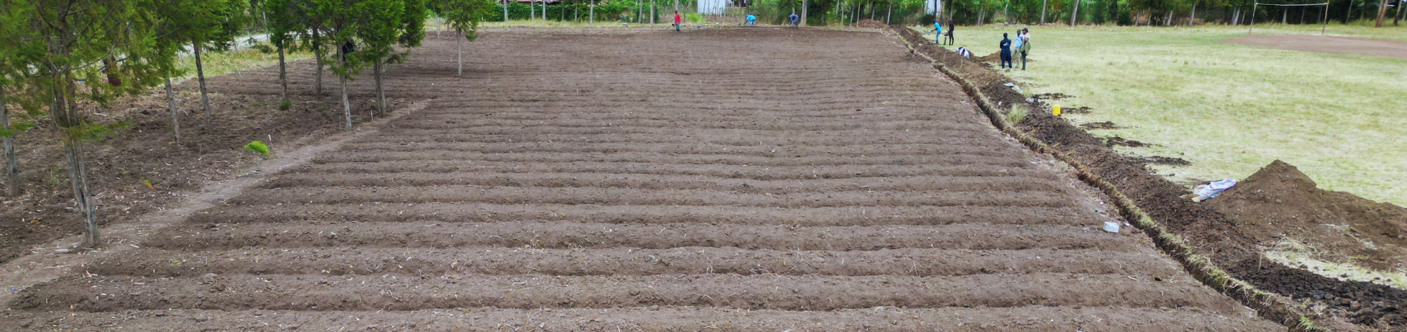 Miti-Alliance_Volunteer-Program