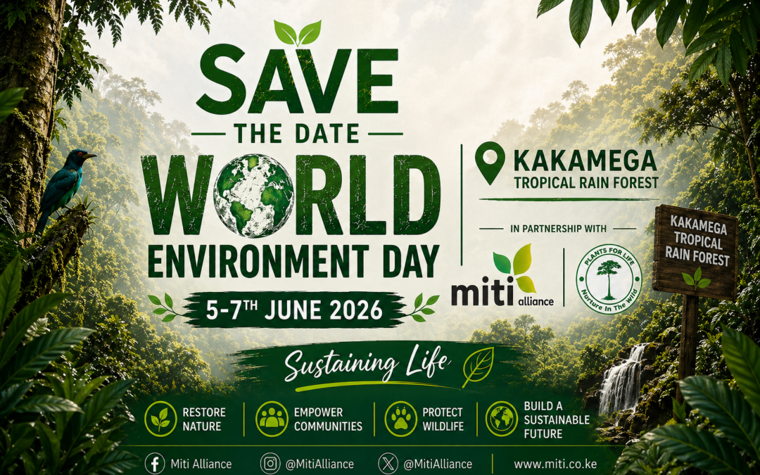 World Environment Day_Miti Alliance
